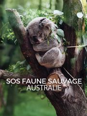 SOS faune sauvage - Australie