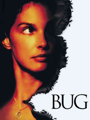 Bug