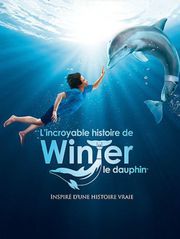 L'incroyable histoire de Winter le dauphin