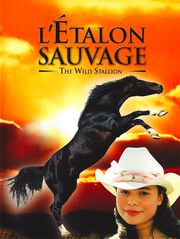 L'étalon sauvage