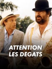 Attention les dégâts !