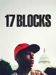 17 Blocks