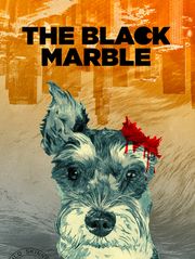 The Black Marble