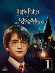 Harry Potter à l'école des sorciers