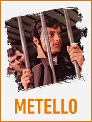 Metello