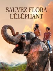 Sauvez Flora l'éléphant