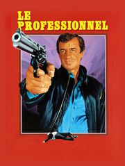Le professionnel
