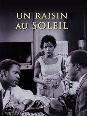 Un raisin au soleil