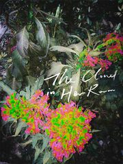 The Cloud in Her Room