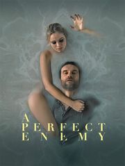 A Perfect Enemy