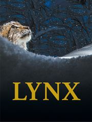 Lynx