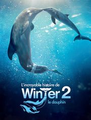 L'incroyable histoire de Winter le dauphin 2