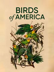 Birds of America