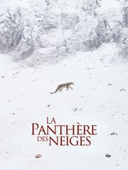 La panthère des neiges