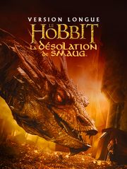 Le Hobbit : la désolation de Smaug (version longue)