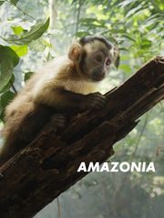 Amazonia