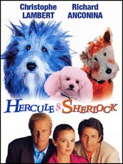 Hercule & Sherlock