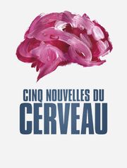 Cinq nouvelles du cerveau