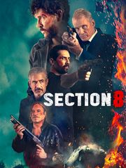 Section 8