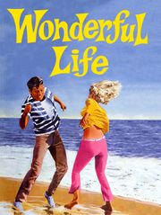 Wonderful Life