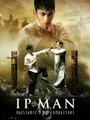 Ip Man : Naissance d'un combattant