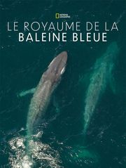 Le royaume de la baleine bleue