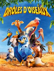 Drôles d'oiseaux