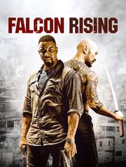 Falcon Rising