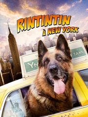 Rintintin à New York