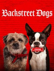 Backstreet Dogs