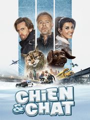 Chien & chat