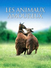 Les animaux amoureux