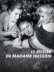 Le rosier de madame Husson