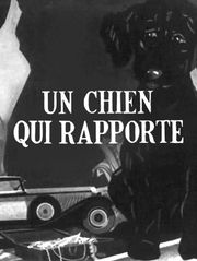 Un chien qui rapporte