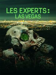 Les experts : Las Vegas