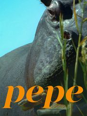 Pepe