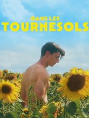 Dans les tournesols