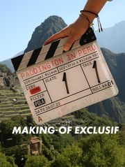 Paddington au Pérou - Bonus offert 2