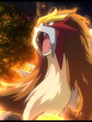 Pokémon 13 : Zoroark, le maître des illusions