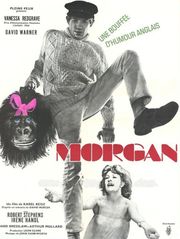 Morgan, fou à lier