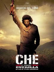 Che, 2e partie : guérilla