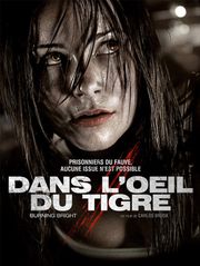 Dans l'oeil du tigre