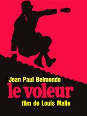 Le voleur