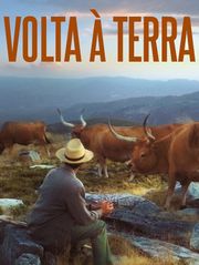 Volta à terra