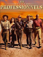 Les professionnels