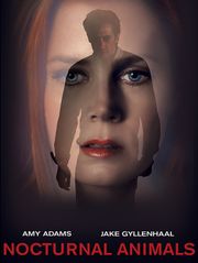 Nocturnal Animals