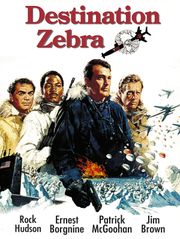 Destination : Zebra, station polaire