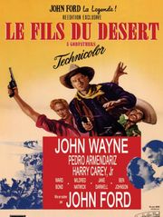 Le fils du désert