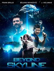 Beyond Skyline