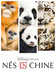 Nés en Chine